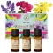 Набір ефірних олій «Квітковий аромат» Ароматика