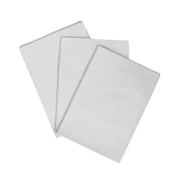 Серветка-нагрудник медична Fortius Pro™ тришарова 33х41 см (500шт/кор) 