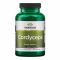 Swanson, кордицепс, Cordyceps 600 mg - 120 Capsules