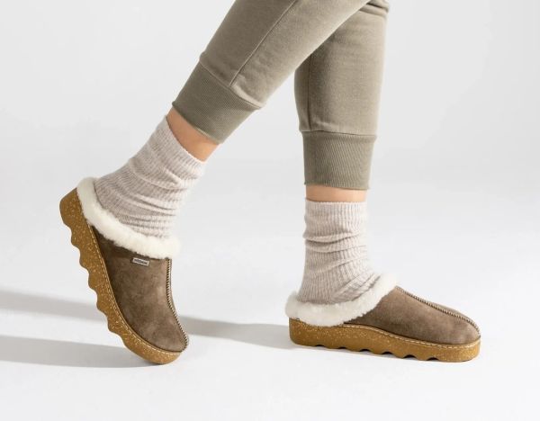 Женские сабо Foggia-D коричневый (арт. 6125 77), ROHDE (Германия)